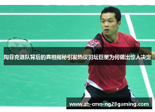 陶菲克退队背后的真相揭秘引发热议羽坛巨星为何做出惊人决定