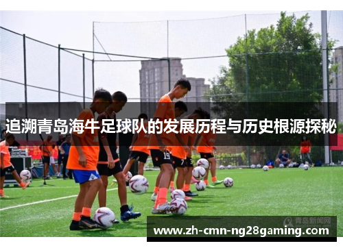 追溯青岛海牛足球队的发展历程与历史根源探秘