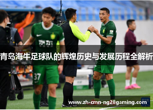 青岛海牛足球队的辉煌历史与发展历程全解析 青岛海牛足球队的辉煌历史与发展历程全解析