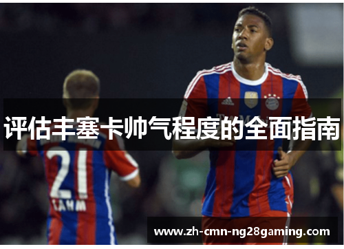 评估丰塞卡帅气程度的全面指南