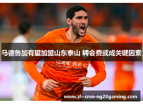 马德鲁加有望加盟山东泰山 转会费或成关键因素
