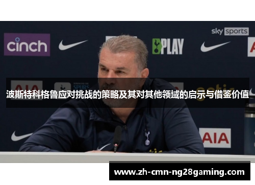 波斯特科格鲁应对挑战的策略及其对其他领域的启示与借鉴价值