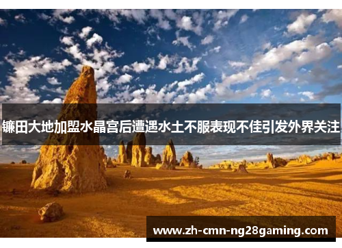 镰田大地加盟水晶宫后遭遇水土不服表现不佳引发外界关注 镰田大地加盟水晶宫后遭遇水土不服表现不佳引发外界关注